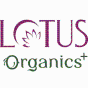 India agency Cybez helped Lotus Organics grow their business with SEO and digital marketing