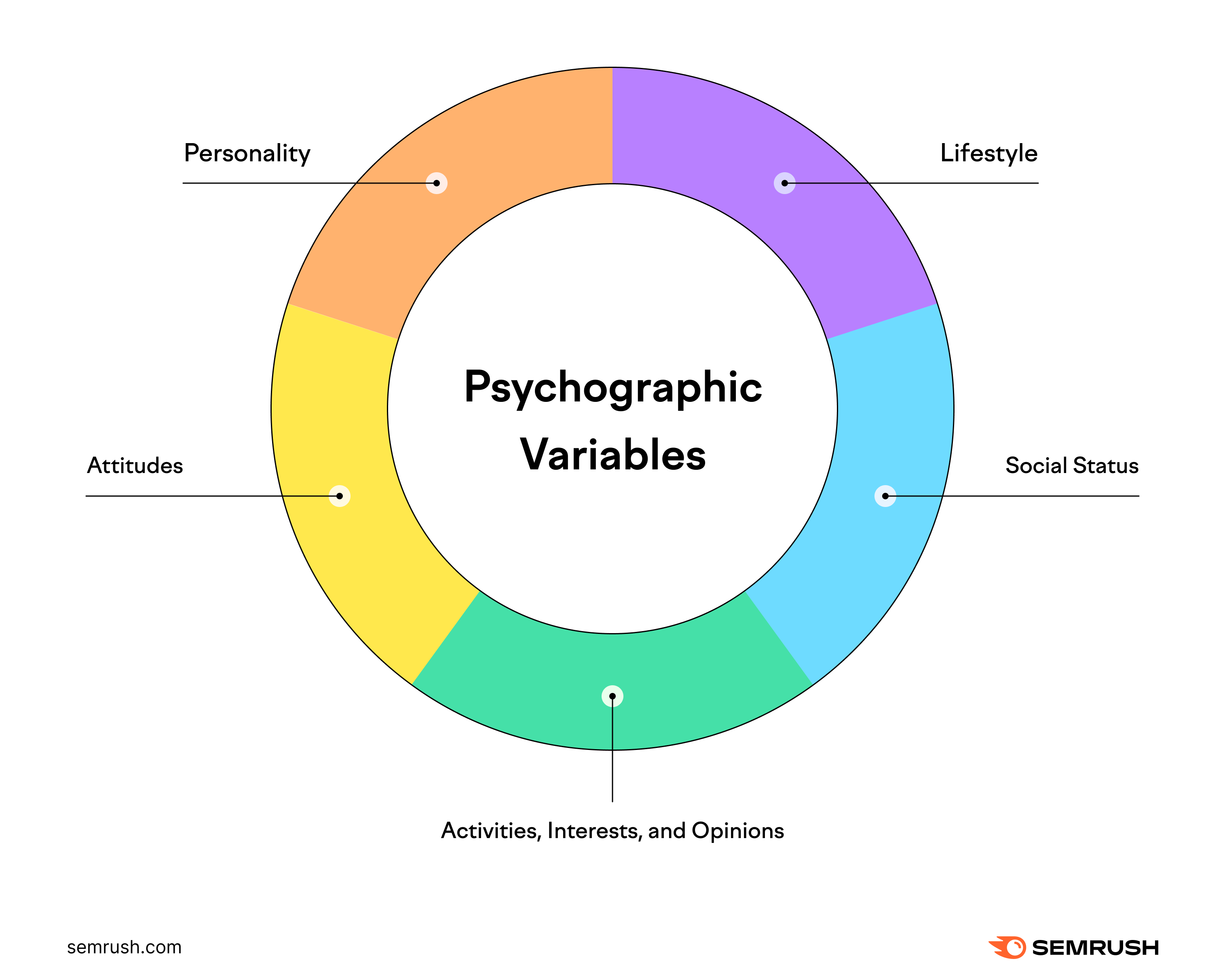Psychographic variables include personality, lifestyle, social status, attitudes, activities, interests, and opinions