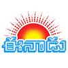 ntnews.com favicon